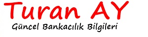 Albaraka Türk Bankası Müşteri Hizmetleri Telefon Bankacılığı 444 5 666